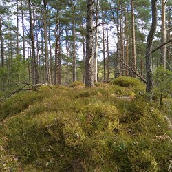 Benkåsen