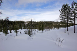 Melbyhøgde
