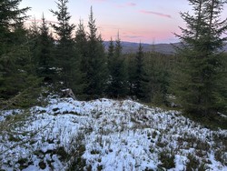 Rognhaugen