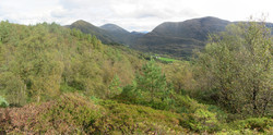 Såta