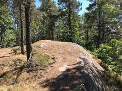Bånetjønnkniben