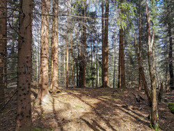 Bakstevalåsen