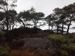Litlåsen