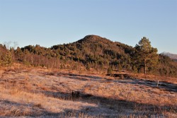 Vindnebba