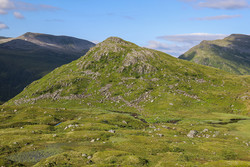 Skurvethornet
