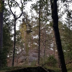 Ramneflauet Nord