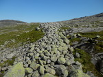 Trollgarden