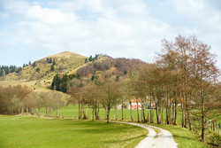 Pferdskopf