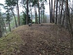 Paradisåsen