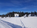 Fjellbekkhaugen