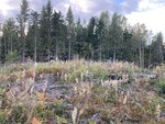Malmmyråsen Nord