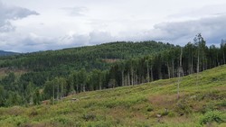 Blekåsen