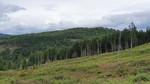 Blekåsen