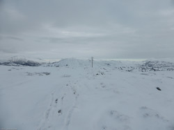 Torehauet