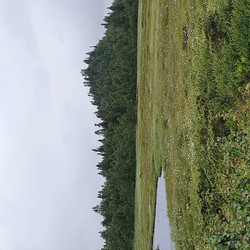 Øysteinhaugen