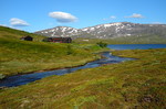 Fongen
