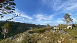 Sjettenbakkhøgda