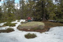 Gullenhaugen