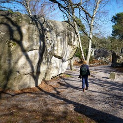 Forêt de Fountainebleau