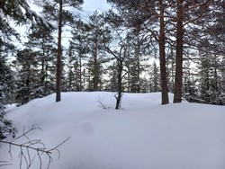Lauvbergtoppen