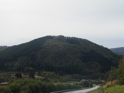 Jarphaugen