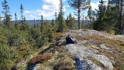 Nord for Skardet