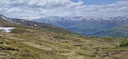 Svoleset