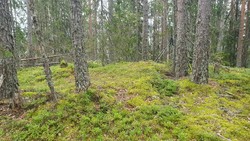 Bøensåsen