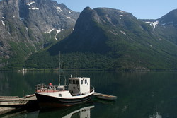 Vikehaugen
