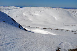 Tverrvola