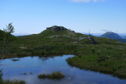 Sauesnyken