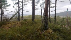 Baståsen