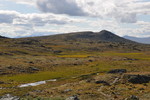 Knatten
