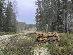 Riksrøys 59 A