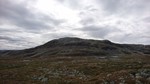 Storahorgi