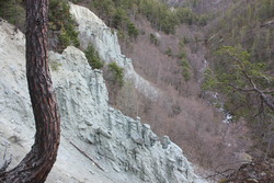 Rudiomnan