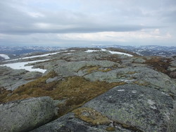 Vassfellheii