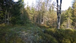 Askelihøgda