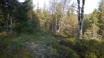 Askelihøgda