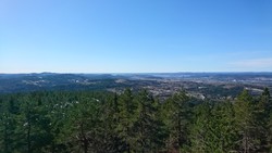 Haukås