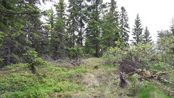 Ramsåsen