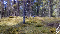 Krafshølberget