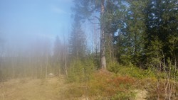 Askimhaugen