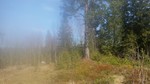 Askimhaugen
