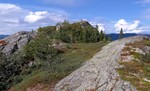 Lislelinatten