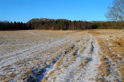 Lauvskardfjellet