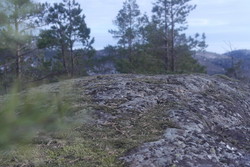 Gudsfredåsen