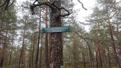 Terrengsykkelkollen