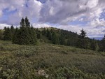 Langhovda