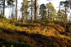 Storhaug